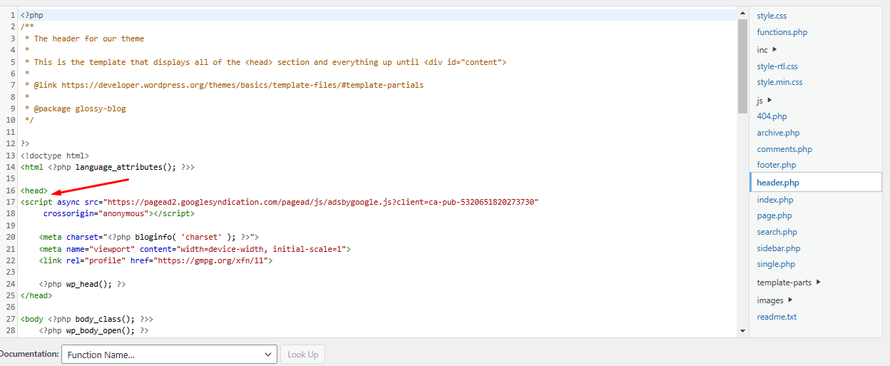 Add code within the head tag in header.php
