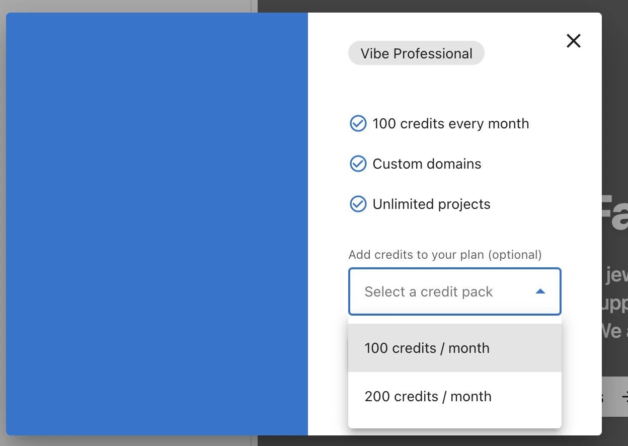 Vibe Professional upgrade modal showing credit pack options