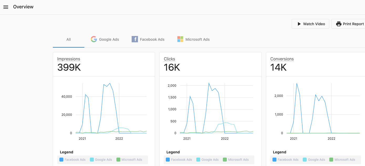 Advertising Intelligence data view 1