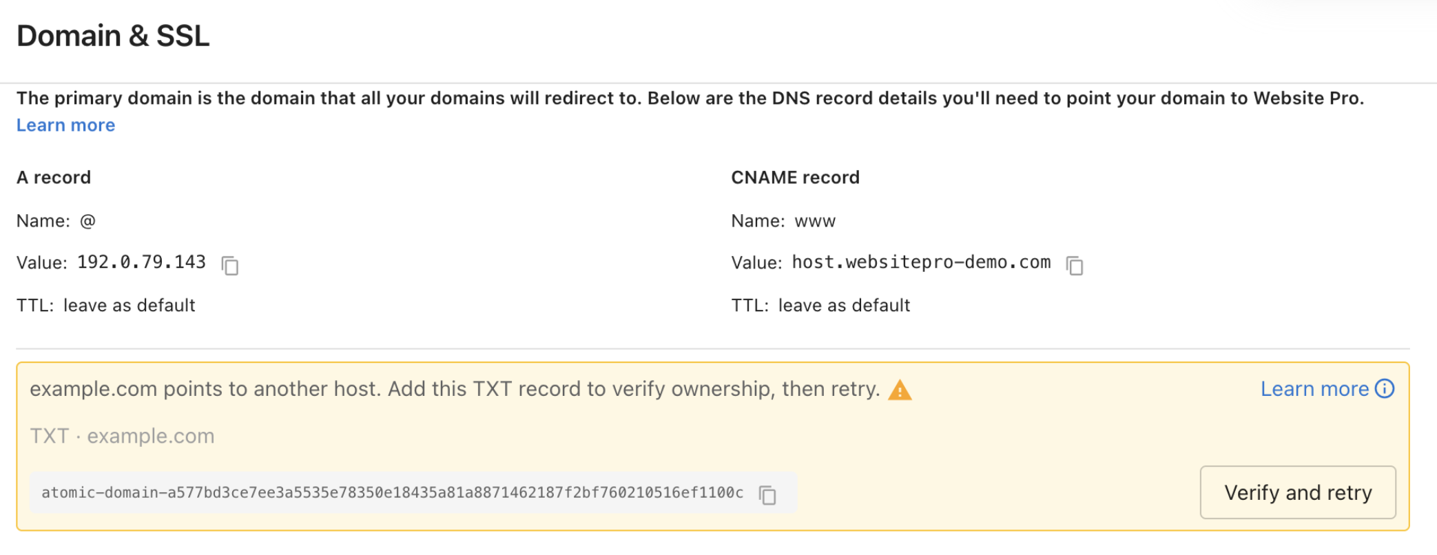 Domain &amp; SSL panel showing the TXT record verification banner with name, value, and Verify and retry button