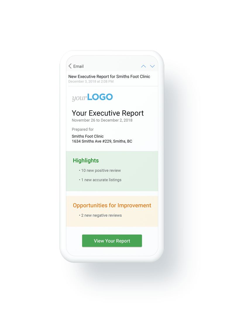 Executive Report detail