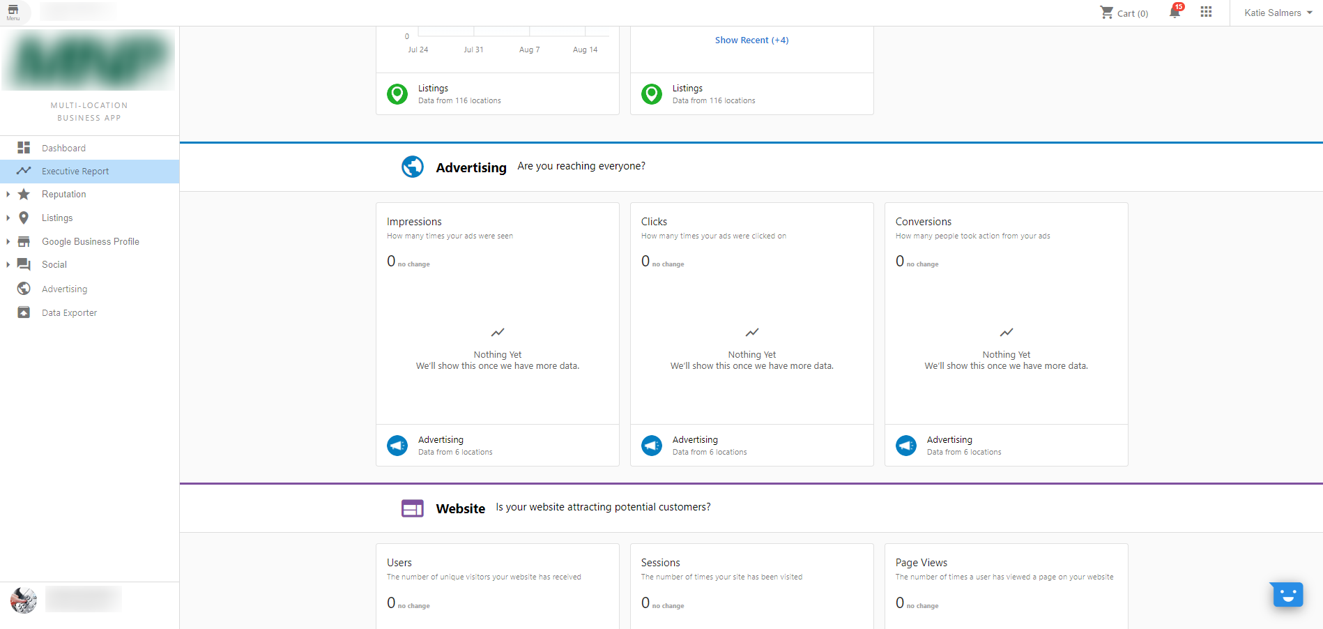 Executive Report Multi-Location