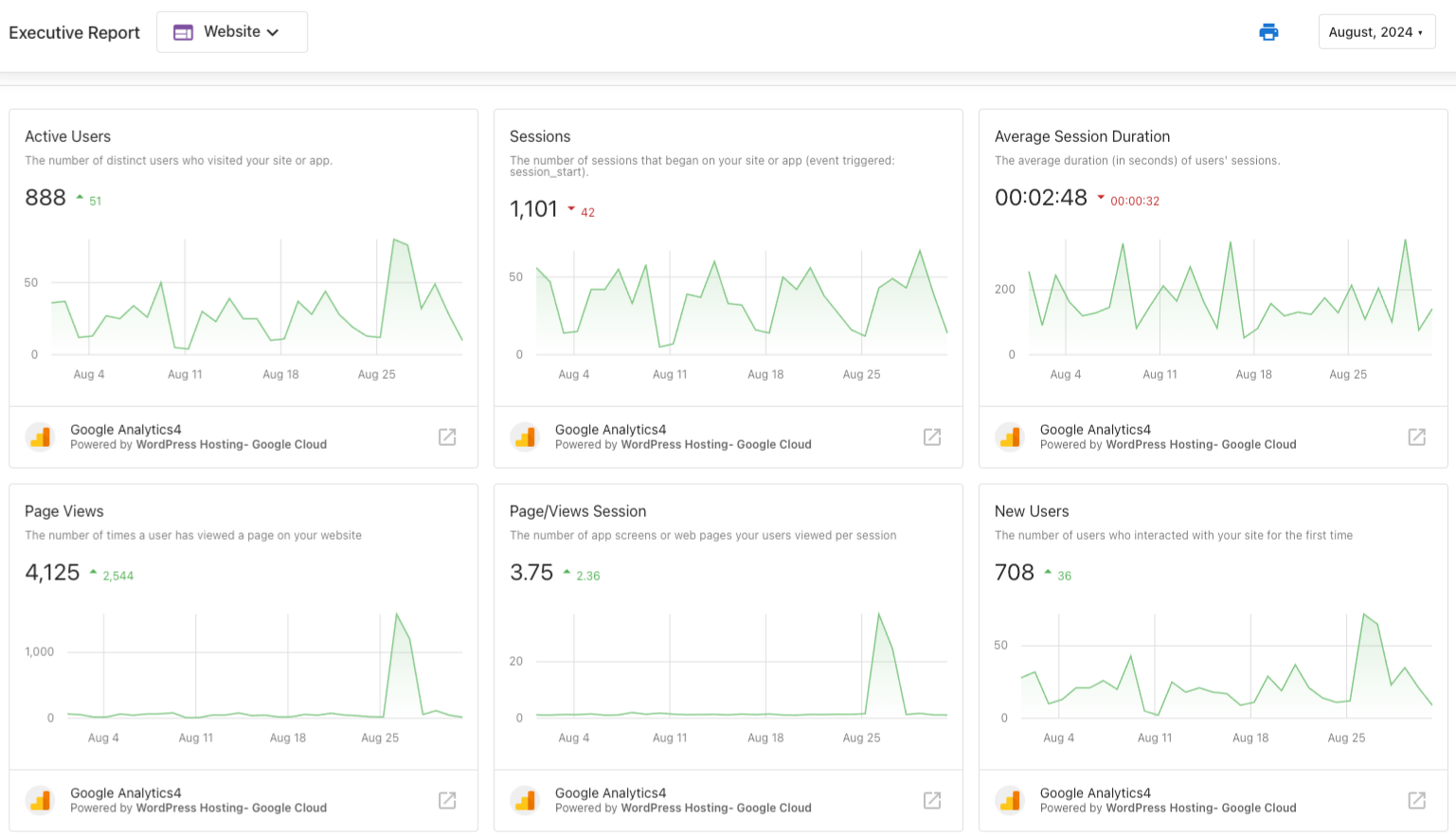 Google Analytics in the Website section
