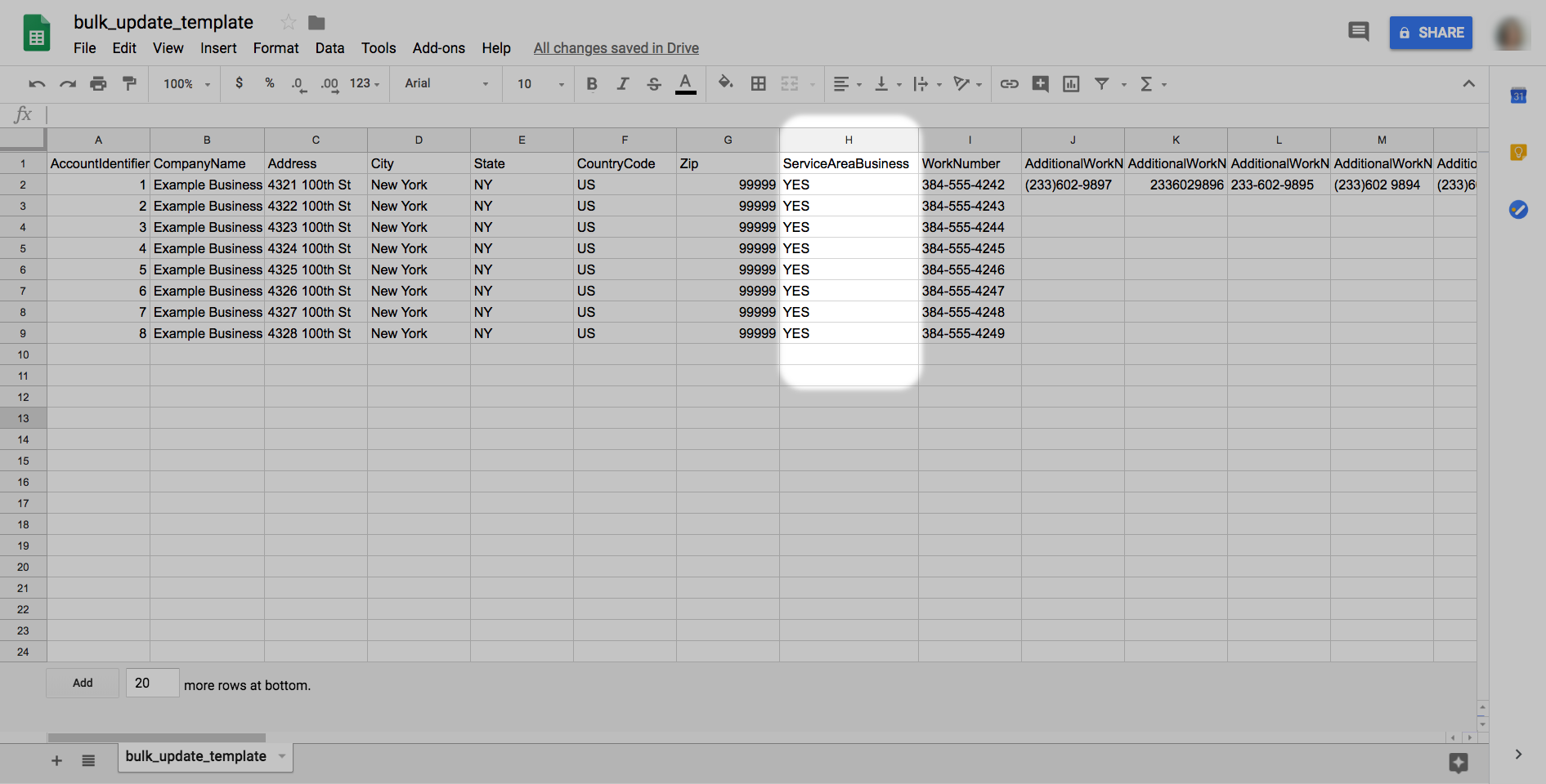 CSV template highlighting Service Area Business column