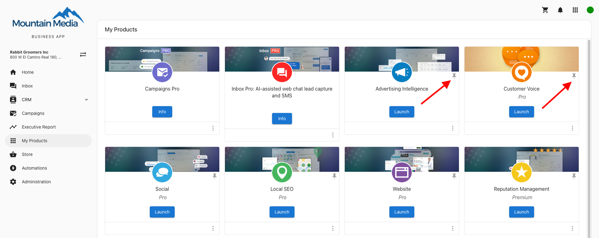 Pinning products in Business App