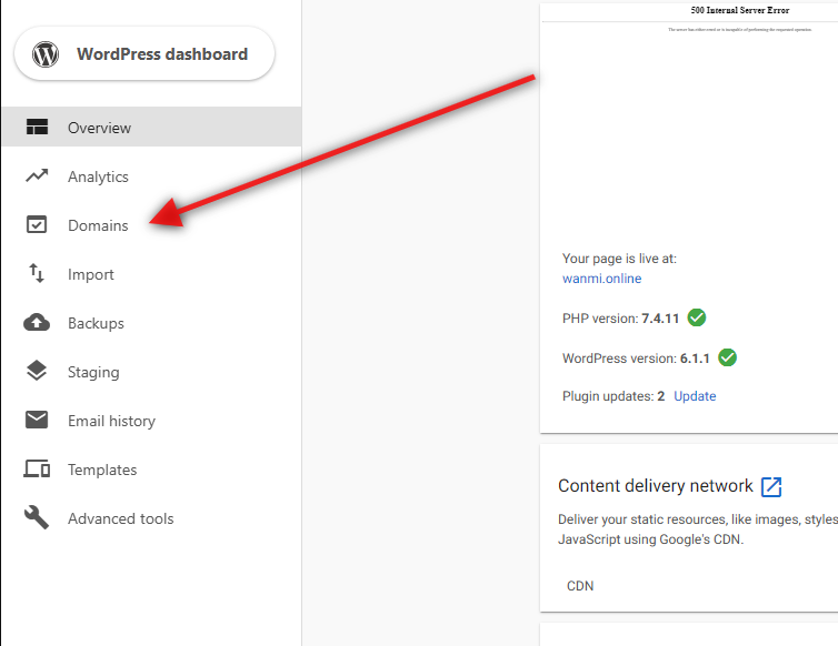 Domains tab with Make Primary button