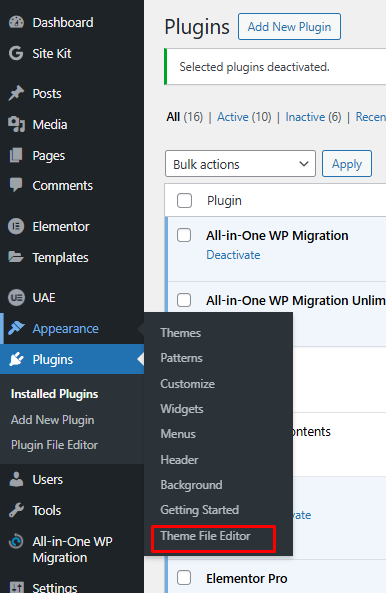 Theme File Editor with Appearance menu