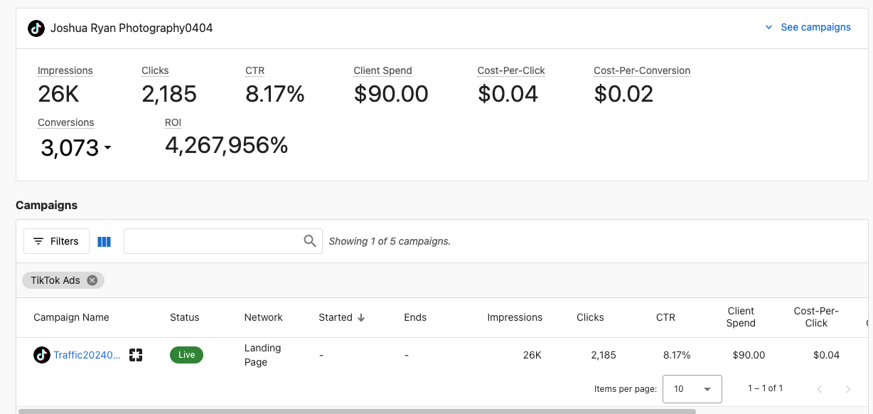 TikTok data view in Advertising Intelligence