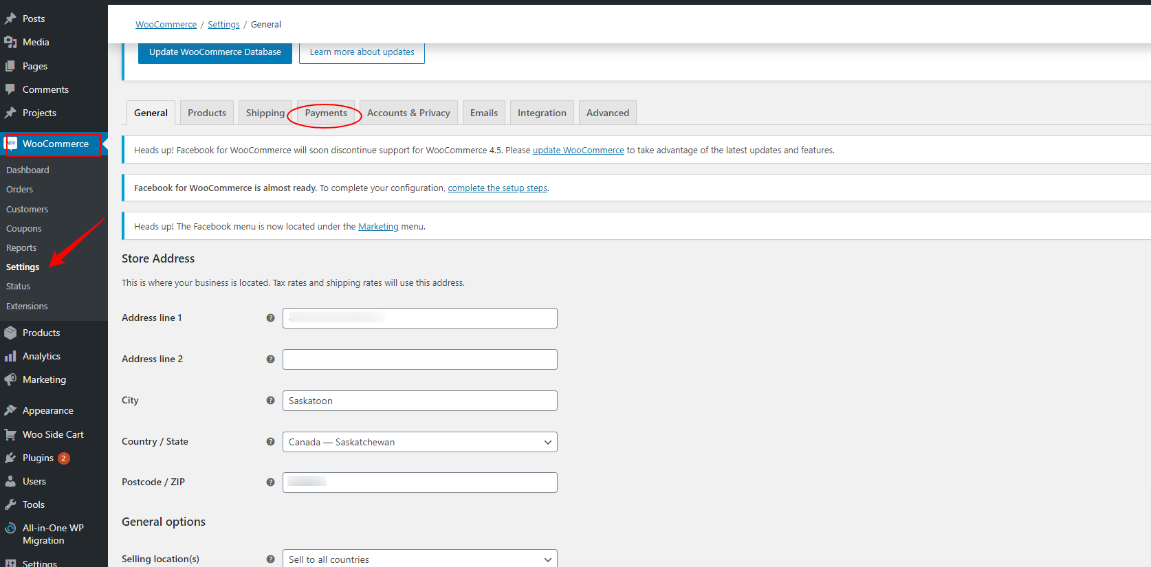 WooCommerce Settings with Payments tab
